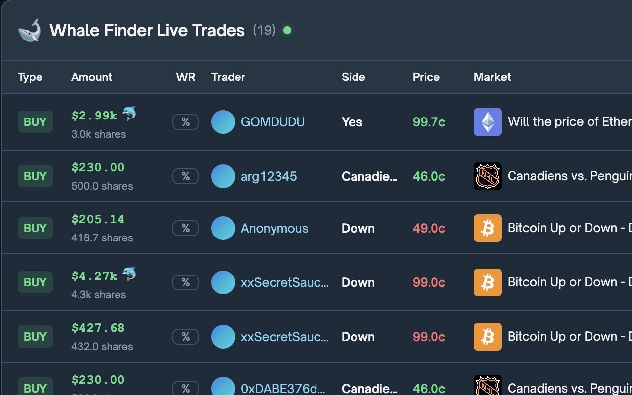 Whale Finder live trades